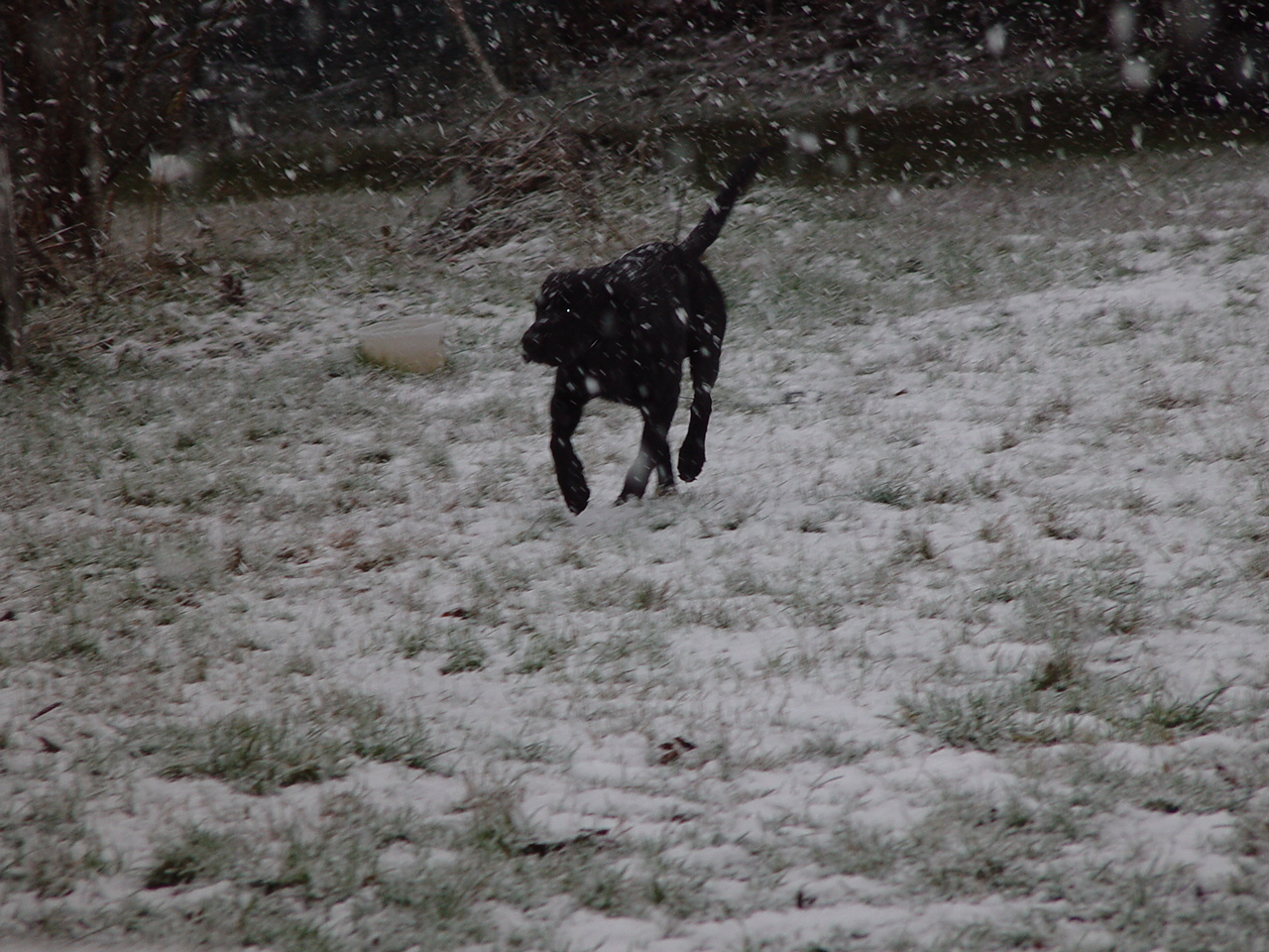 jan-01-2004 020.jpg