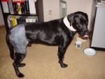 DSC02738.JPG