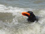 Camping Trip 070.jpg