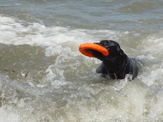 Camping Trip 070.jpg