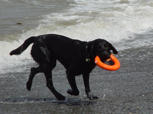 Camping Trip 078.jpg