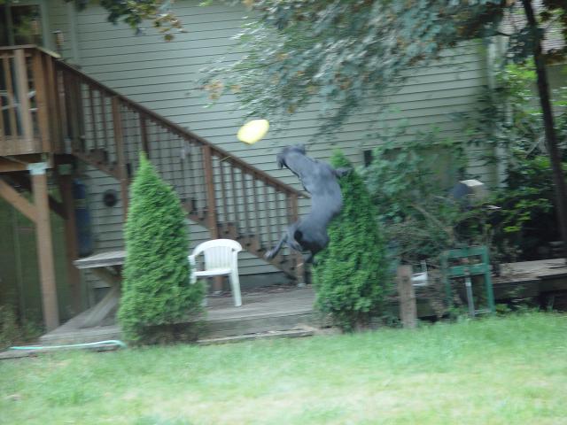 Tyler_Frisbee 012.jpg