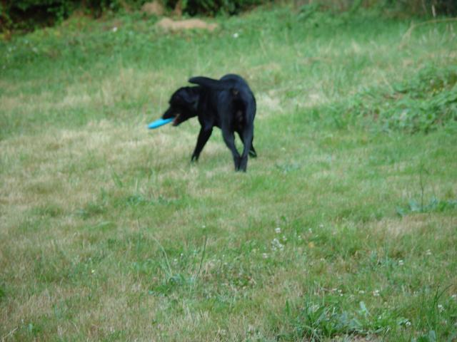 Tyler_Frisbee 030.jpg