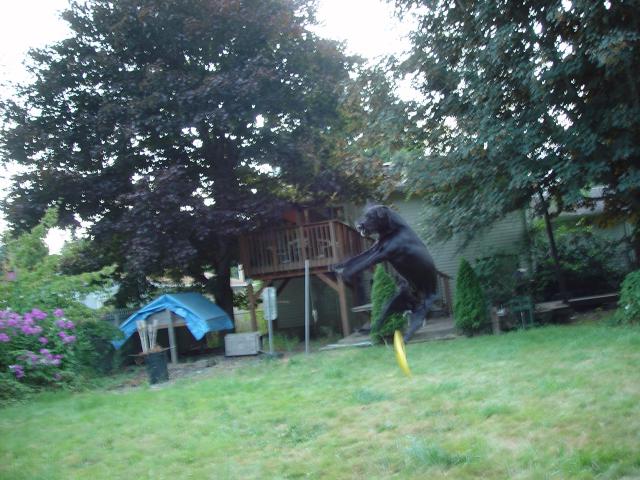 Tyler_Frisbee 034.jpg