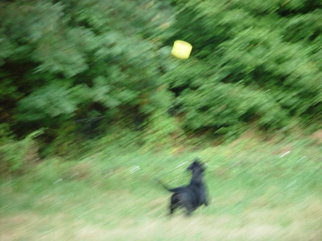 Tyler_Frisbee 041.jpg