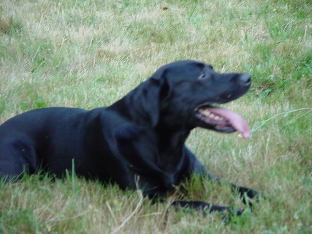 Tyler_Frisbee 044.jpg
