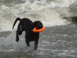 Camping Trip 080small.jpg