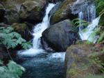 Camping Trip 053.jpg