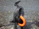 Camping Trip 068.jpg