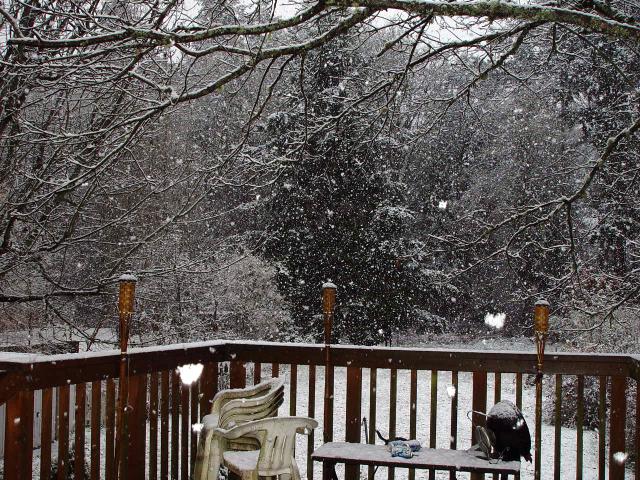 DSC01197.JPG