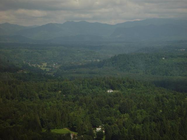 DSC02222 (Medium).JPG