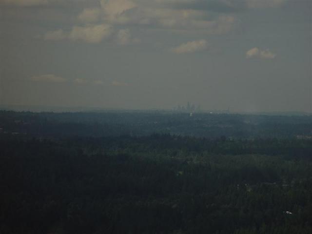 DSC02236 (Medium).JPG