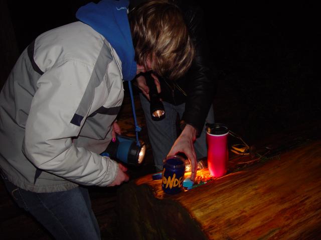 DSC01480.JPG