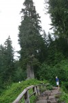 mountRainier 087.jpg