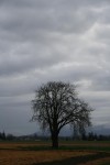 IMG_2334.JPG