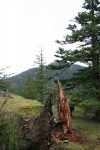 IMG_2388.JPG