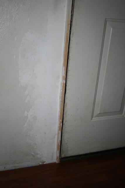 IMG_2520.JPG