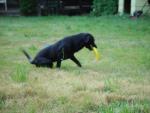 Tyler_Frisbee 019.jpg